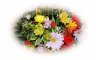install_09.jpg - Beautiful flowers